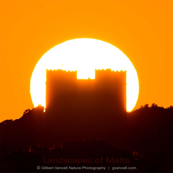 Red Tower Sunset