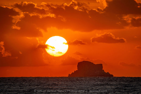 Filfla Sunset