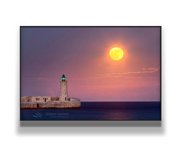 Moonrise, Valletta Lighthouse II