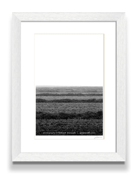 Misty Morning Harvest