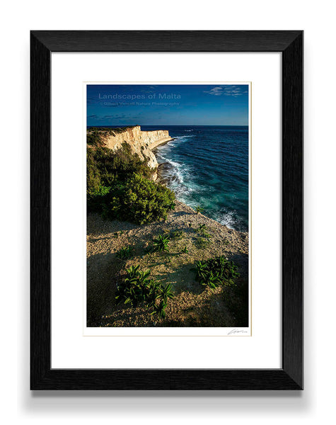 The Munxar Cliffs II