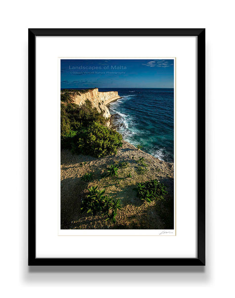 The Munxar Cliffs II