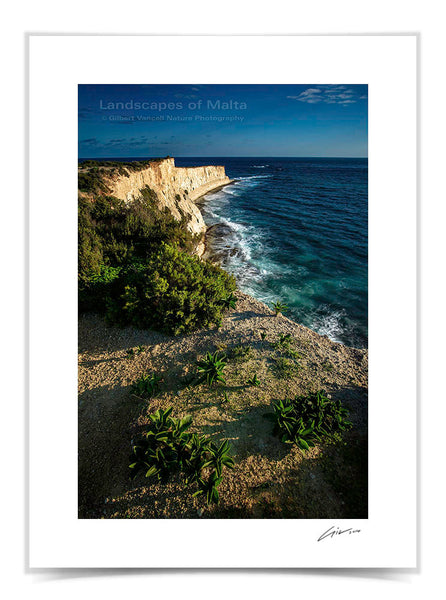 The Munxar Cliffs II