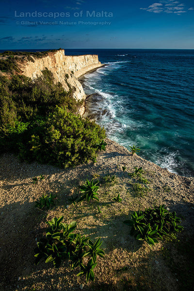 The Munxar Cliffs II