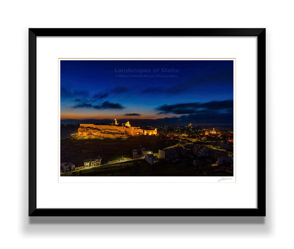 The Citadel at Twilight