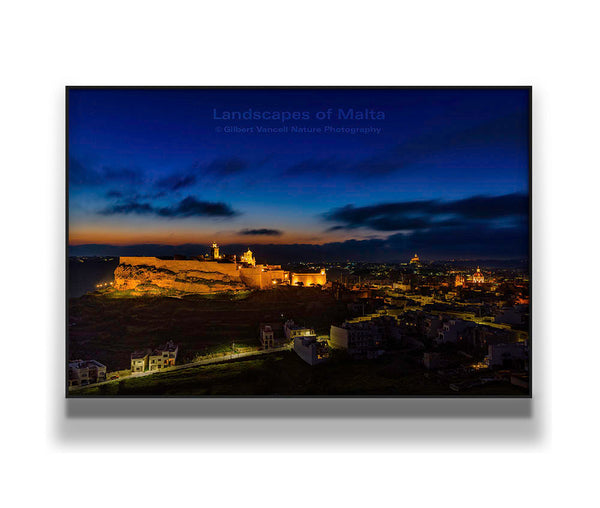 The Citadel at Twilight