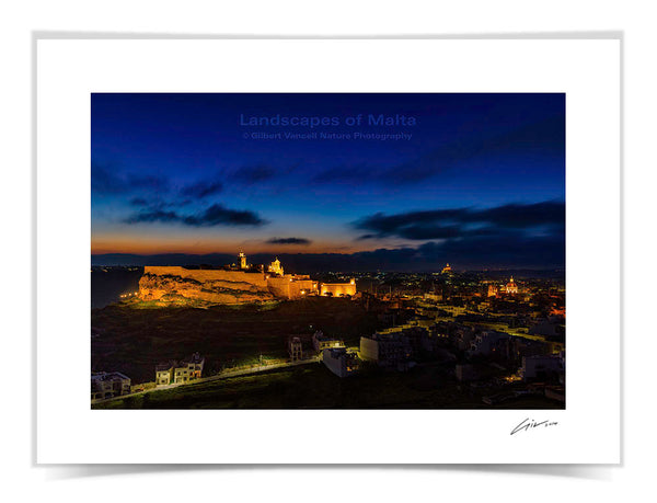 The Citadel at Twilight