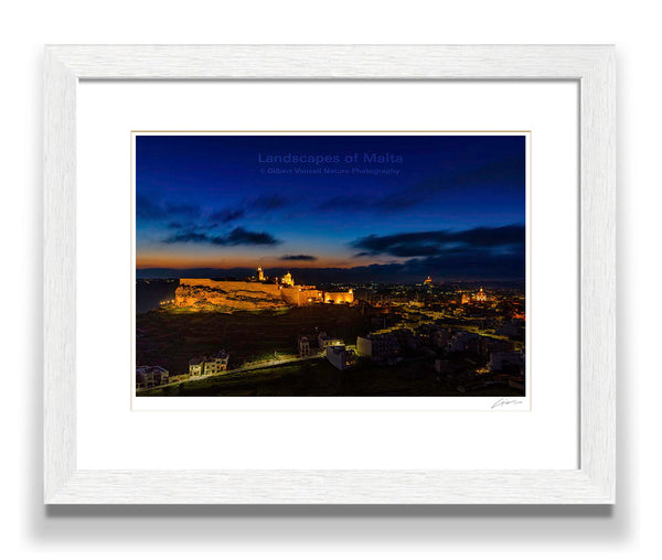 The Citadel at Twilight