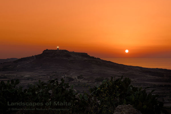 Ta' Ġurdan Lighthouse Sunset