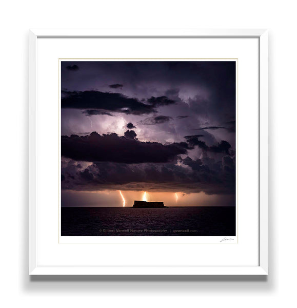 Lightnings over Filfla