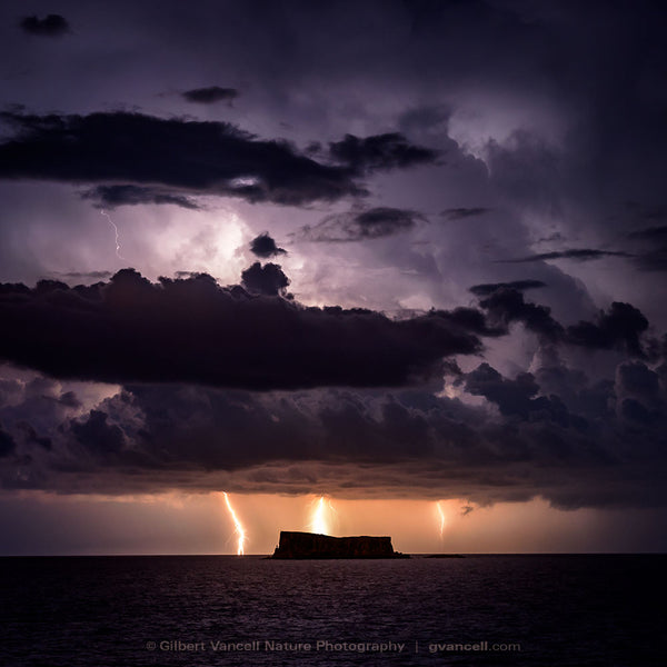 Lightnings over Filfla
