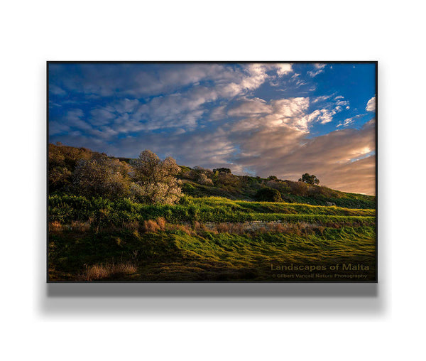 Sunset at Chadwick Lakes