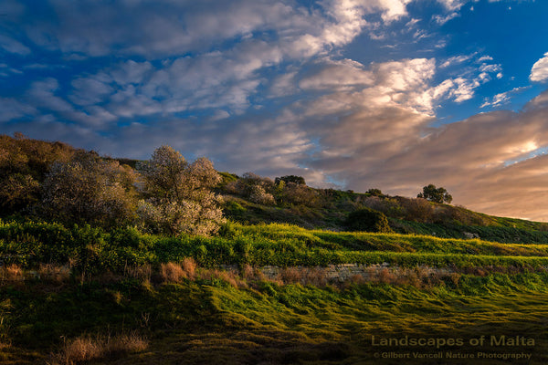 Sunset at Chadwick Lakes