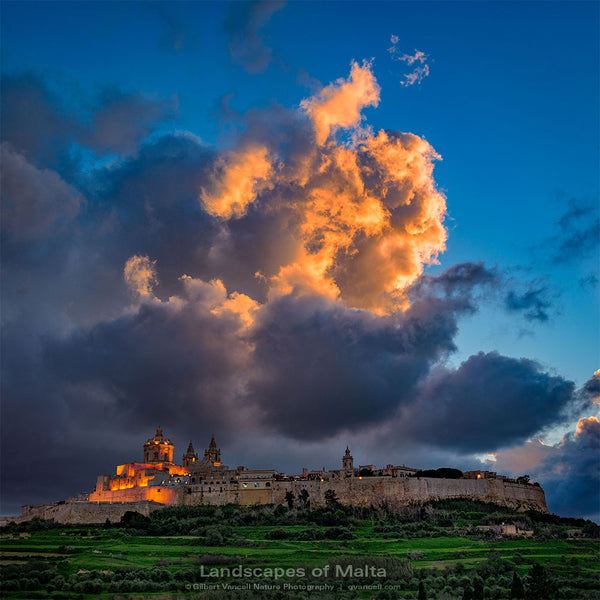 Catching Light – Mdina at Sunset