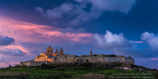 Mdina at Dawn