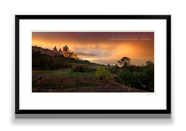 Mdina Sunset