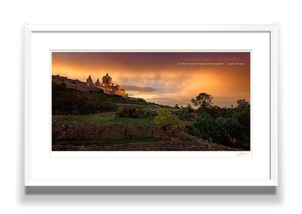 Mdina Sunset